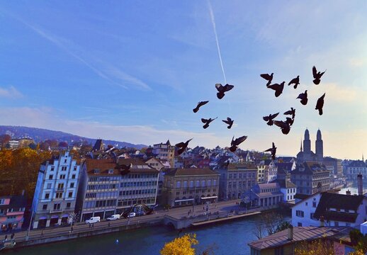 Flock of doves flying over cityscape, Zurich, Switzerland