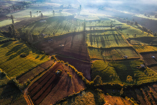 Aerial view of farmland in the mist, Bromo Tengger Semeru National Park, East Java, Indonesia