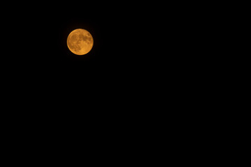 Yellow full moon in the night