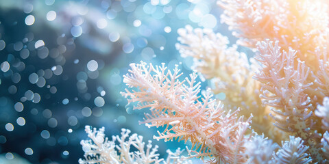 Fototapeta na wymiar Coral Reef Ecosystem, Underwater Beauty. Close-up texture of coral reef polyps, intricate textures and colors of marine biodiversity, copy space background.