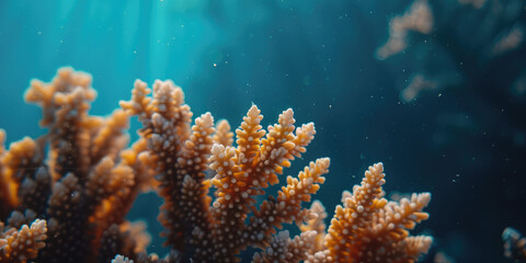 Coral Reef Ecosystem, Underwater Beauty. Close-up texture of coral reef polyps, intricate textures and colors of marine biodiversity, copy space background.