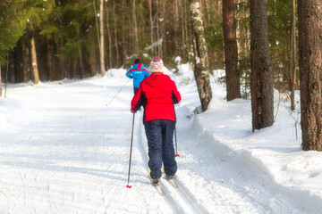 People ski in winter on a ski track through a winter forest.Cross Country skiing.