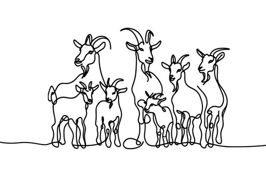 Vector image of domestic goats, in linear style, on a white background.