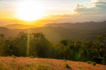 Ta Nang - Phan Dung route with milestone between 3 provinces through grass hills and forests in Song Mao Nature Reserve