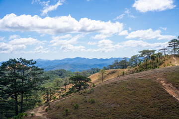 Fototapeta premium Ta Nang - Phan Dung route with milestone between 3 provinces through grass hills and forests in Song Mao Nature Reserve