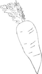 Carrot drawing doodle vegetable design.