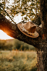 Beiger Hut liegt auf einem Ast