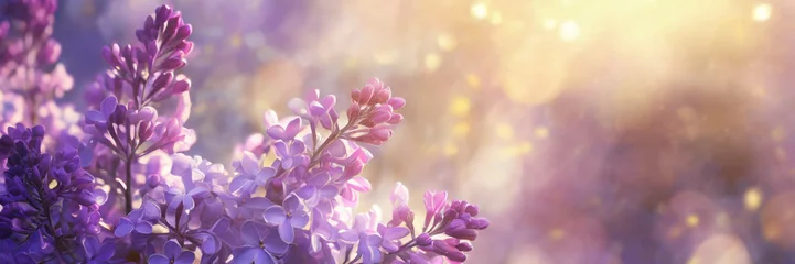 Fototapeten Lilac flowers spring blossom, sunny day light bokeh background © Mariusz Blach