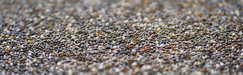 Chia seeds texture. Close up view. Food background. Healthy diet 