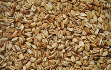 Oats texture. Food background. Oatmeal heap. Healthy diet