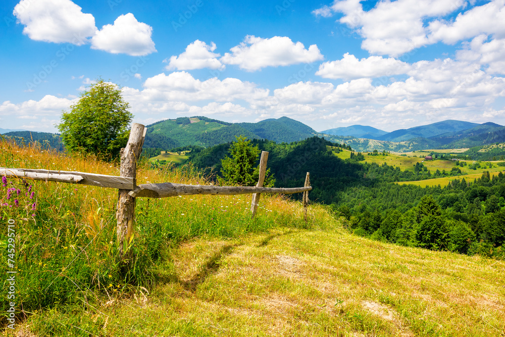 Poster wooden fence on the meadow. mountainous rural landscape of transcarpathia, ukraine in summer. carpat