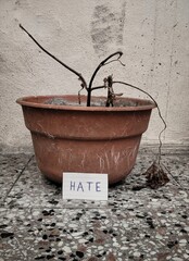 Hate damage result: Hate destroy people, personas are like plants...