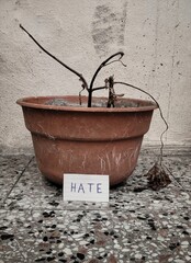 Naklejka premium Hate damage result: Hate destroy people, personas are like plants...