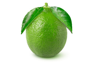 Lime with leaves on an isolated white background.