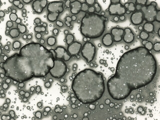 Author's artistic abstractions. Watercolor and alcohol inks. Modern art. Processed in Photoshop