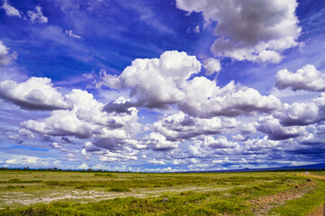 Unique cloud formations against a bright blue sky over the vast grass plains of the Amboseli National Park, Kenya