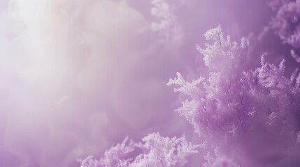 Tilt-Shift Lavender Shimmer Scene with Dreamy Aura