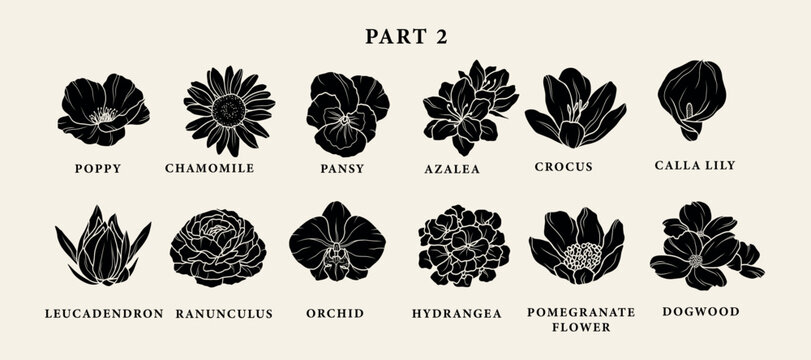Flat vector garden flowers set