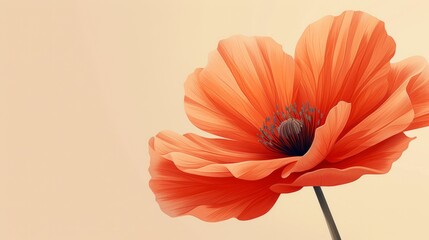 Red poppy flower isolated on beige background with copy space for text. - obrazy, fototapety, plakaty