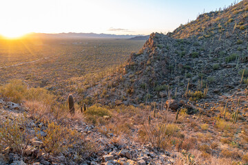Sunset at Gates Pass, with saguaro and cholla cactus, in Tucson Arizona