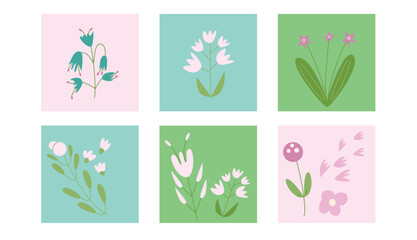 Flowers card set. Floral elements in square frames. Vector flat illustration