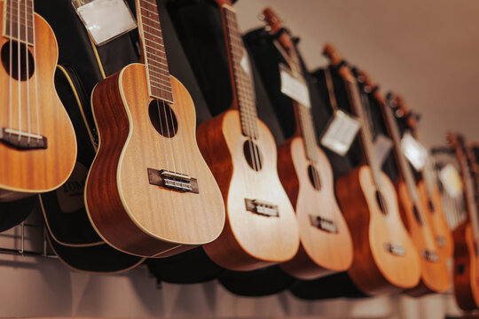 Many different acoustic ukulele hanging on wall of music shop. Close up. - Powered by Adobe