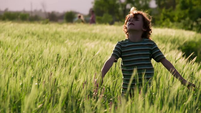 Summer Holidays. Little curly red-haired boy stands among the wheat field arms spread out against the wind. Slow Motion
