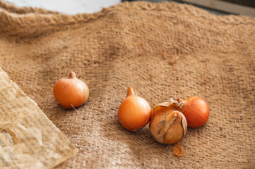 小玉ねぎ　ペコロス