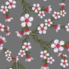 Seamless floral pattern. Patterns with wax flower, Australian Flora, wrapping paper, textile, fabric, packing design, wedding, card, letter, abstract