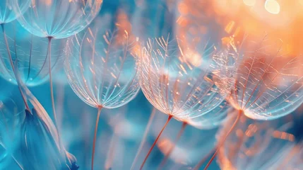  A dreamy macro photo of a dandelion. © olegganko