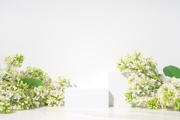 Beauty cosmetics product presentation scene made with white cubes and white lilac flowers branch. Spring mood background with copy space.