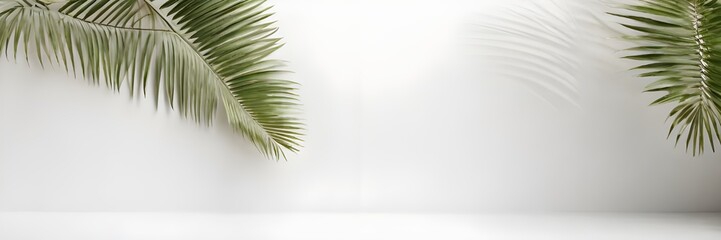 Fototapeta premium Natural palm leaf shadow overlay isolated on white background
