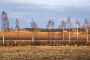 Fresh arable field in spring sun light in very late February in Skriveri in Latvia