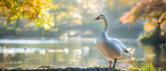 A serene goose captured in a tranquil environment