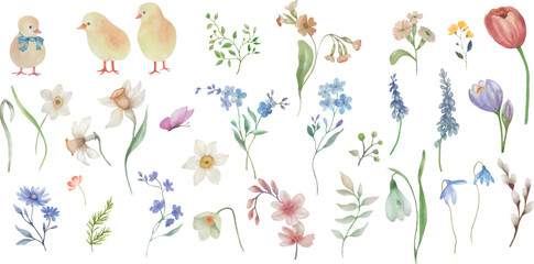 Spring floral set. Watercolor Easter elements. Hand drawn illustration isolated on transparent background.  Vector EPS.