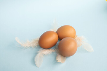 Red eggs lie on a blue background. Pink bird feathers are scattered on the table Top view copy space