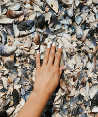 woman hand holding stones. Multicolored seashells Black Sea Romania.