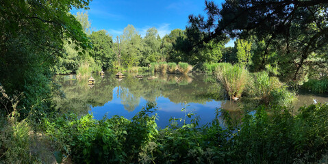 Panorama with spring scene including green trees reflected in natural pond on sunny day in...