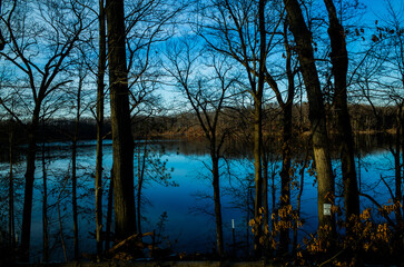 Serene view of a lake in the woods