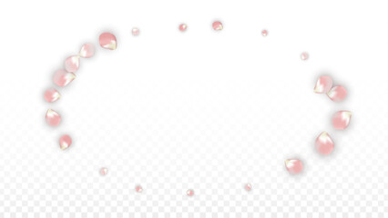 Pink Vector Realistic Petals Falling on Transparent Background.  Spring Romantic Flowers Illustration. Flying Petals. Sakura Spa Design. Blossom Confetti. Design Elements for Wedding Decoration.