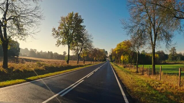 First Person View Captures Car Driving By Asphalt Road At Autumn Sunset
