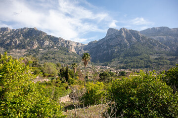 Between Soller and Fornalutx, Mallorca, Spain - 745340327