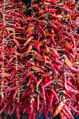 dried Spanish Pepper, Mallorca, Spain - 745340508