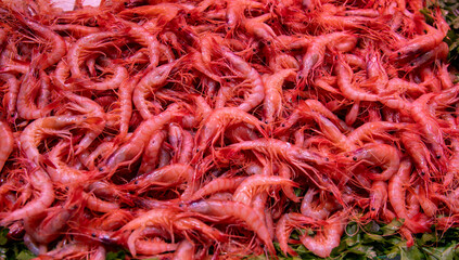 fresh Spanish Shrimps, Mallorca, Spain - 745340529