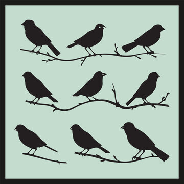 Grosbeak black silhouette set vector, set of birds on a branch