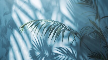 minimalistic concept with blurred shadow of palm leaves on light blue wall, serving as abstract background for product presentation, conveying spring and summer ambiance