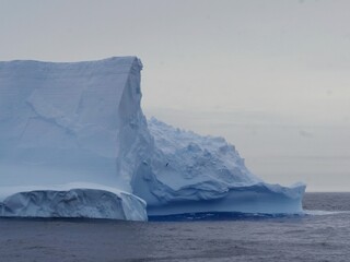Großer Eisberg mit davor fliegendem Albatros in der Drake Passage zwischen Antarktischer Halbinsel...