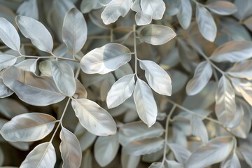 silver leaves on a tree