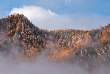 Russia. Mountain Altai. Fog turning into snow clouds around mountain peaks in the Chulyshman River...