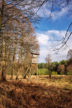 Photo of an elevated deer hunting blind by the woods.